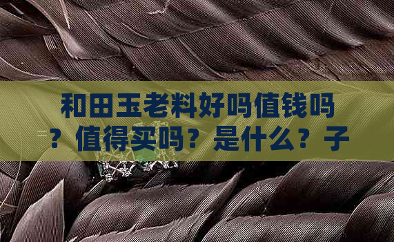 和田玉老料好吗值钱吗？值得买吗？是什么？子意思？