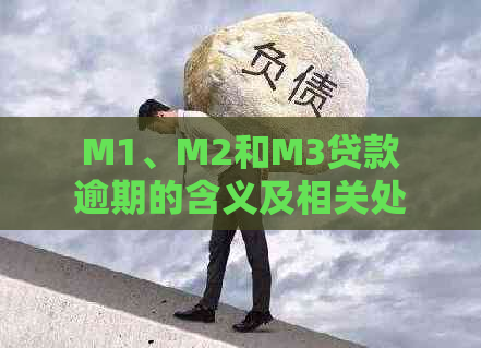 M1、M2和M3贷款逾期的含义及相关处理方法全面解析