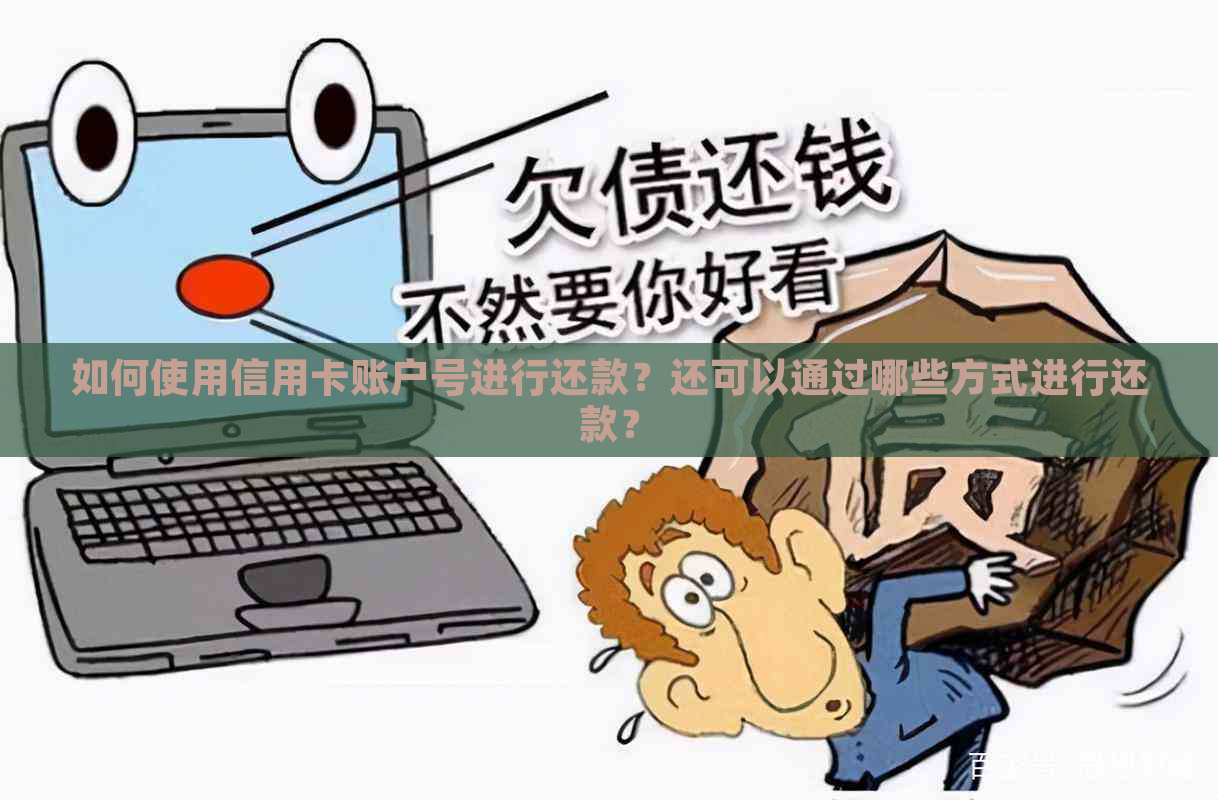 如何使用信用卡账户号进行还款？还可以通过哪些方式进行还款？