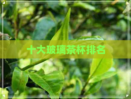 十大玻璃茶杯排名