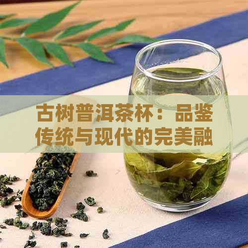 古树普洱茶杯：品鉴传统与现代的完美融合