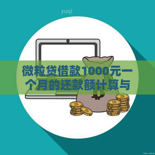 微粒贷借款1000元一个月的还款额计算与分析