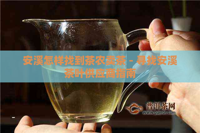 安溪怎样找到茶农卖茶 - 寻找安溪茶叶供应商指南