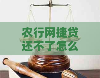 农行网捷贷还不了怎么办呀？