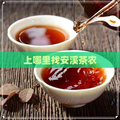 上哪里找安溪茶农