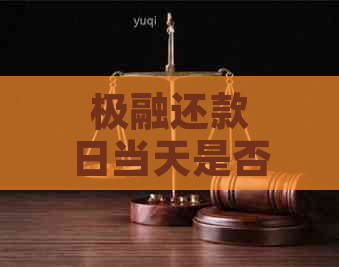 极融还款日当天是否可以进行主动还款？还有哪些还款方式可以选择？