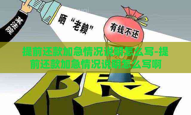 提前还款加急情况说明怎么写-提前还款加急情况说明怎么写啊