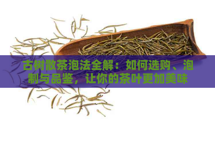 古树散茶泡法全解：如何选购、泡制与品鉴，让你的茶叶更加美味