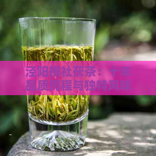 泾阳根社茯茶：十年品质历程与独特风味探析