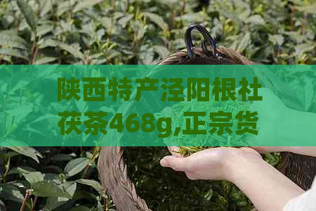 陕西特产泾阳根社茯茶468g,正宗货源，品质保证，价格实，值得信