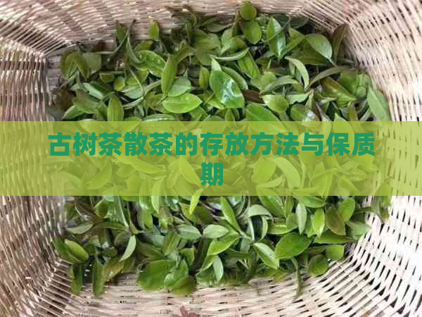 古树茶散茶的存放方法与保质期