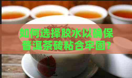 如何选择胶水以确保普洱茶砖粘合牢固？