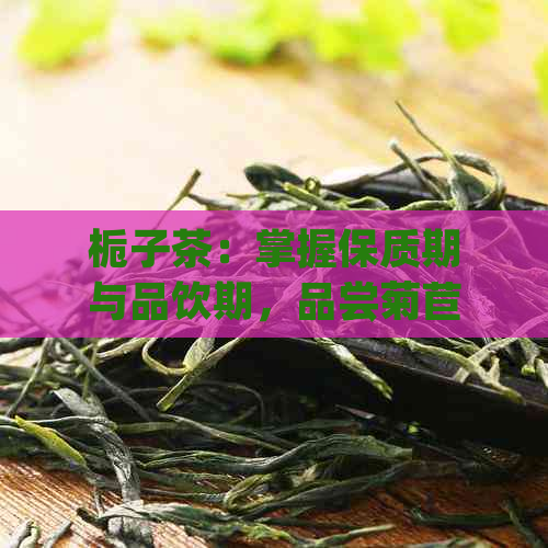 栀子茶：掌握保质期与品饮期，品尝菊苣的完美搭配