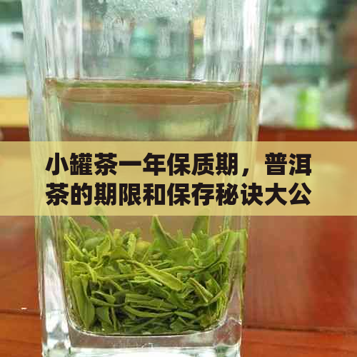 小罐茶一年保质期，普洱茶的期限和保存秘诀大公开