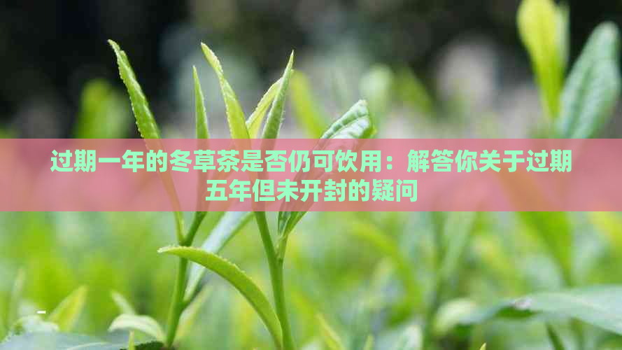 过期一年的冬草茶是否仍可饮用：解答你关于过期五年但未开封的疑问