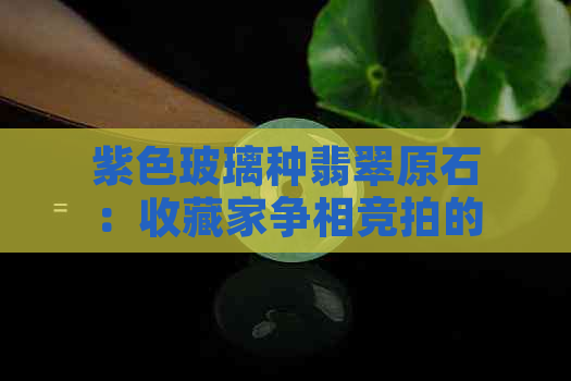 紫色玻璃种翡翠原石：收藏家争相竞拍的稀有宝石