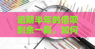 逾期半年的借呗剩余一期，如何解决相关问题和恢复信用？