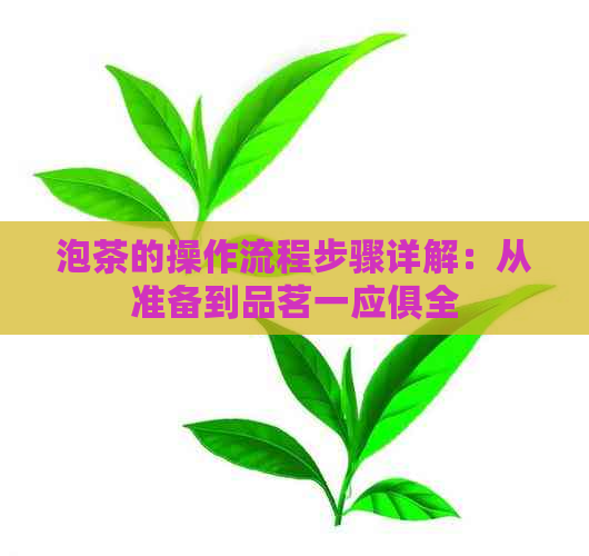 泡茶的操作流程步骤详解：从准备到品茗一应俱全