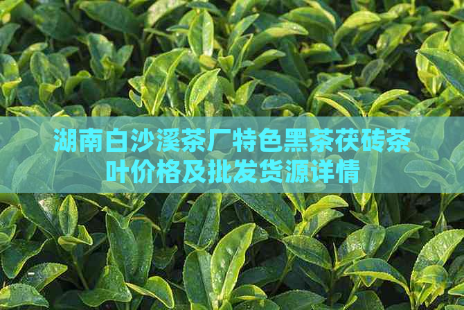 湖南白沙溪茶厂特色黑茶茯砖茶叶价格及批发货源详情