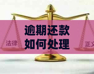 逾期还款如何处理？一次性还清是否可行？了解相关政策和应对措