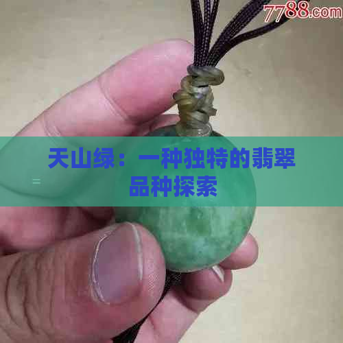 天山绿：一种独特的翡翠品种探索