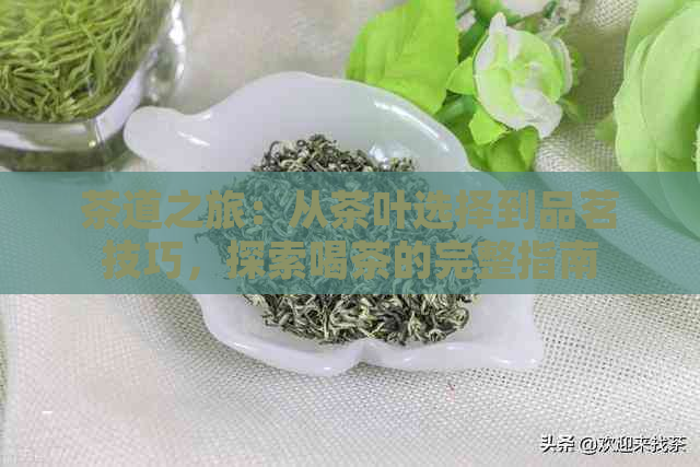 茶道之旅：从茶叶选择到品茗技巧，探索喝茶的完整指南