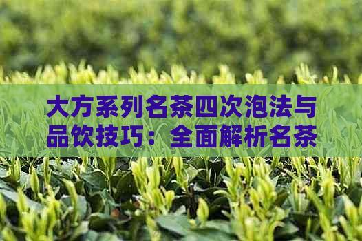 大方系列名茶四次泡法与品饮技巧：全面解析名茶大方系列的品质与口感