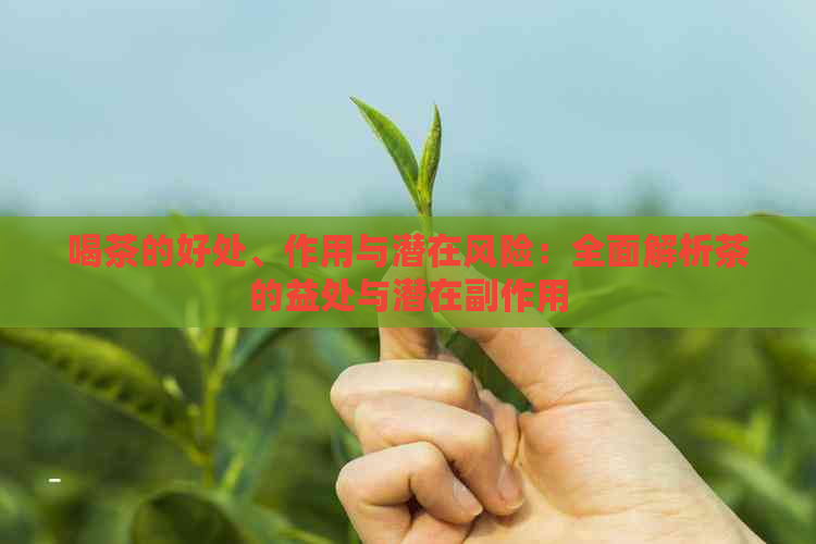 喝茶的好处、作用与潜在风险：全面解析茶的益处与潜在副作用