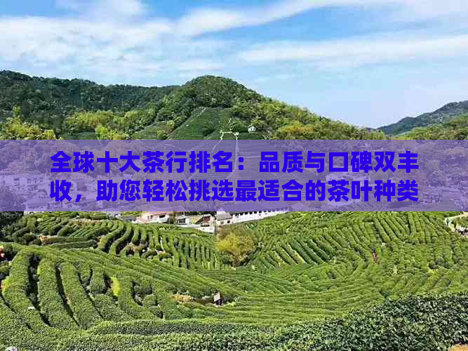 全球十大茶行排名：品质与口碑双丰收，助您轻松挑选最适合的茶叶种类