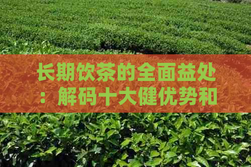 长期饮茶的全面益处：解码十大健优势和潜在副作用