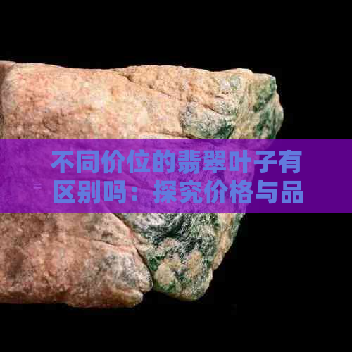 不同价位的翡翠叶子有区别吗：探究价格与品质的关系