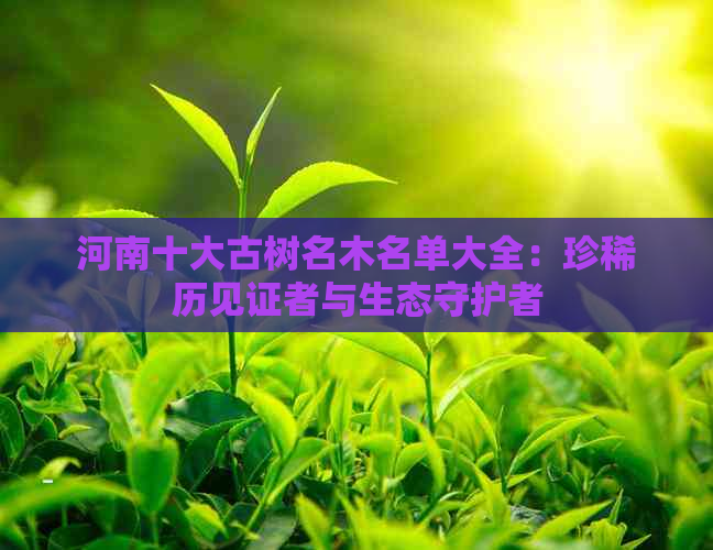 河南十大古树名木名单大全：珍稀历见证者与生态守护者