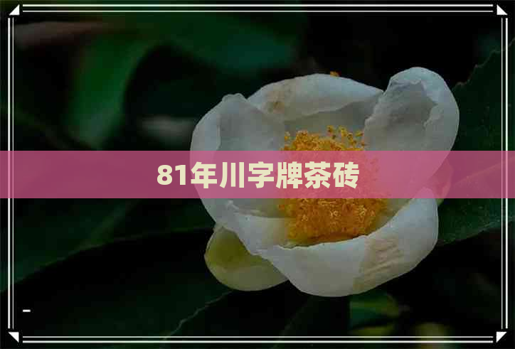 81年川字牌茶砖