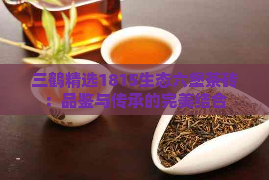 三鹤精选1815生态六堡茶砖：品鉴与传承的完美结合