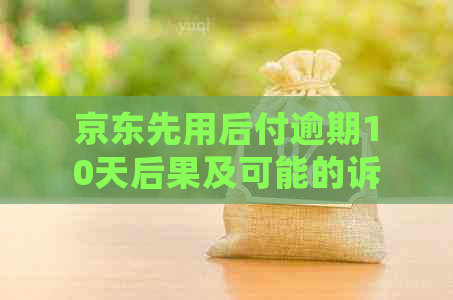 京东先用后付逾期10天后果及可能的诉讼：用户需了解的关键信息