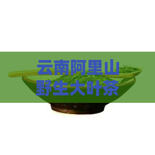 云南阿里山野生大叶茶砖：源自大自然的普洱茶珍品