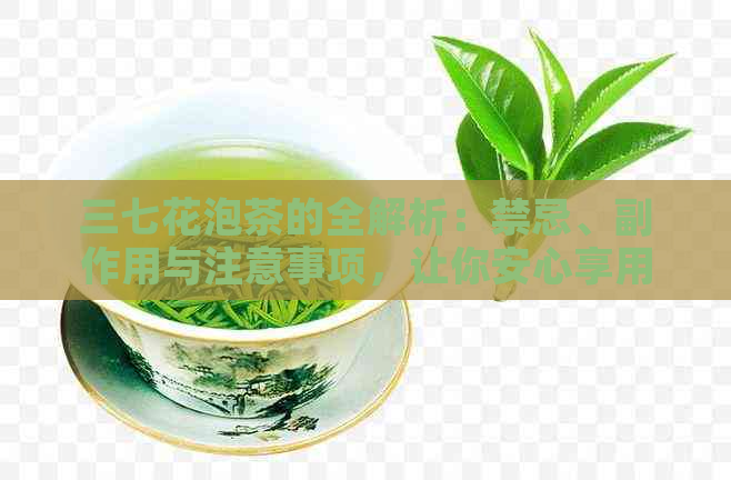 三七花泡茶的全解析：禁忌、副作用与注意事项，让你安心享用健的茶饮