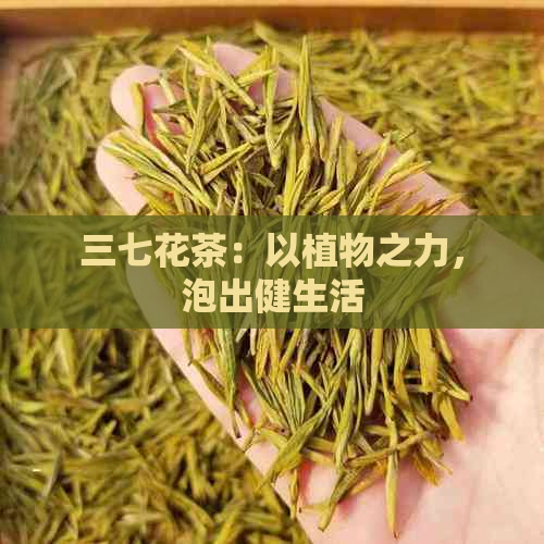 三七花茶：以植物之力，泡出健生活