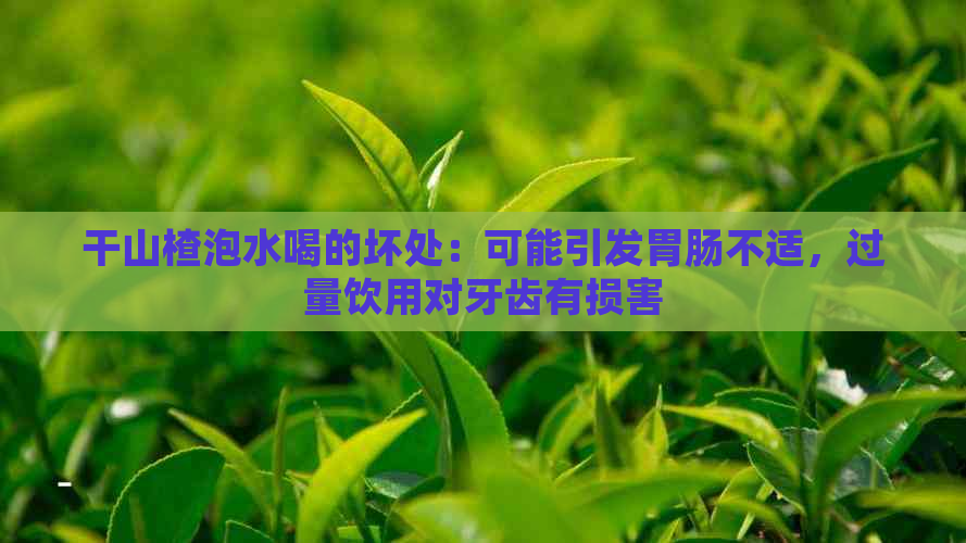 干山楂泡水喝的坏处：可能引发胃肠不适，过量饮用对牙齿有损害