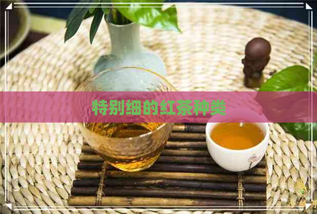 特别细的红茶种类