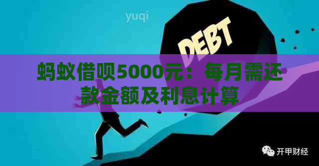 蚂蚁借呗5000元：每月需还款金额及利息计算