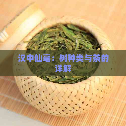 汉中仙毫：树种类与茶的详解