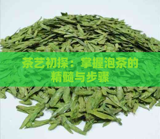 茶艺初探：掌握泡茶的精髓与步骤