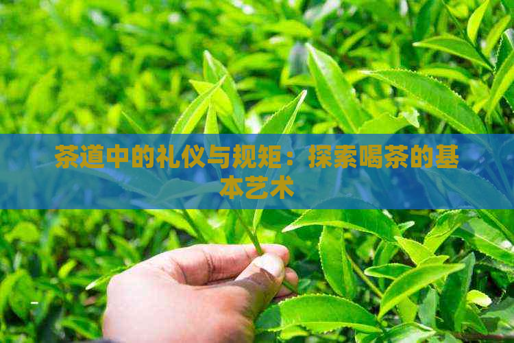 茶道中的礼仪与规矩：探索喝茶的基本艺术