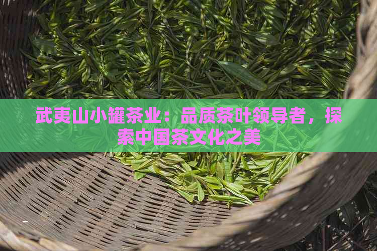 武夷山小罐茶业：品质茶叶领导者，探索中国茶文化之美