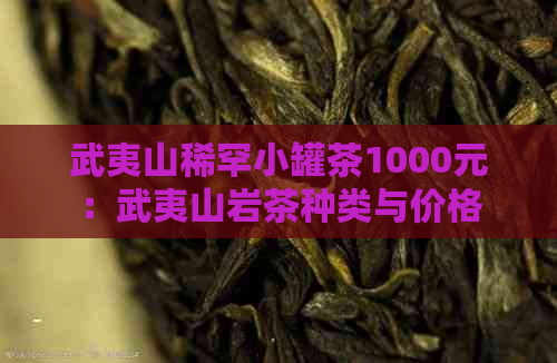 武夷山稀罕小罐茶1000元：武夷山岩茶种类与价格解析