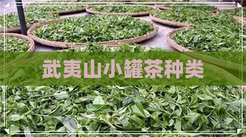 武夷山小罐茶种类