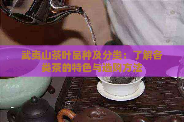 武夷山茶叶品种及分类：了解各类茶的特色与选购方法