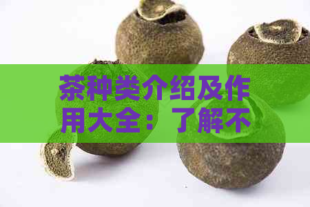 茶种类介绍及作用大全：了解不同茶类的功效与特点