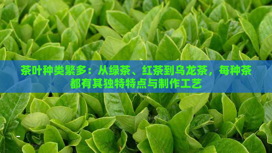 茶叶种类繁多：从绿茶、红茶到乌龙茶，每种茶都有其独特特点与制作工艺